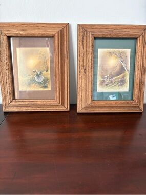 Andres Orpinas Framed Mounted Lithograph Set Of 2 Cottagecore Vintage Nature